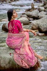 4D PINK PURE ORGANZA EMBROIDERY HANDWORK, C-PALLU SAREE WITH PINK RANI SILK BLOUSE